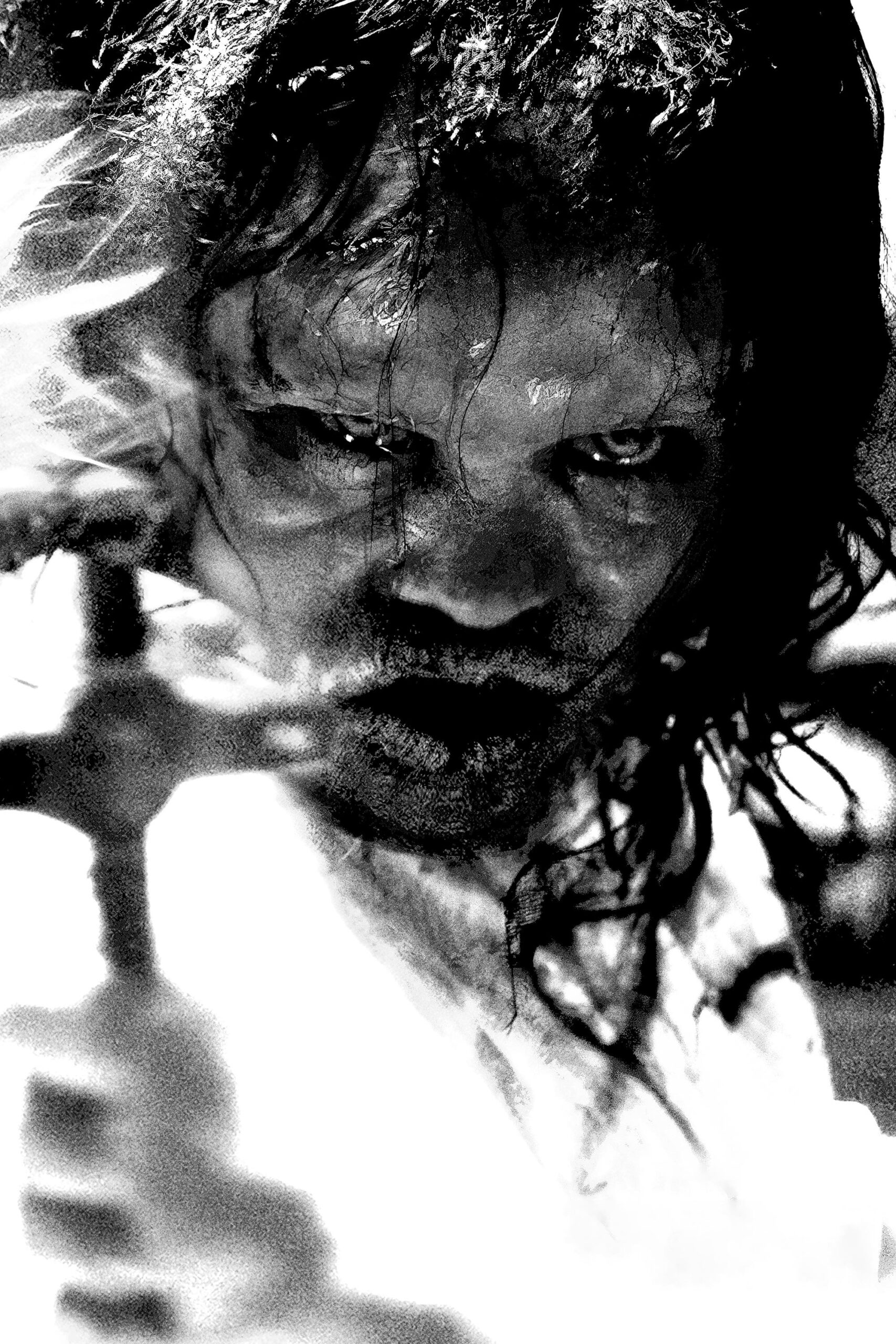 جن‌گیر: مؤمن (The Exorcist: Believer)