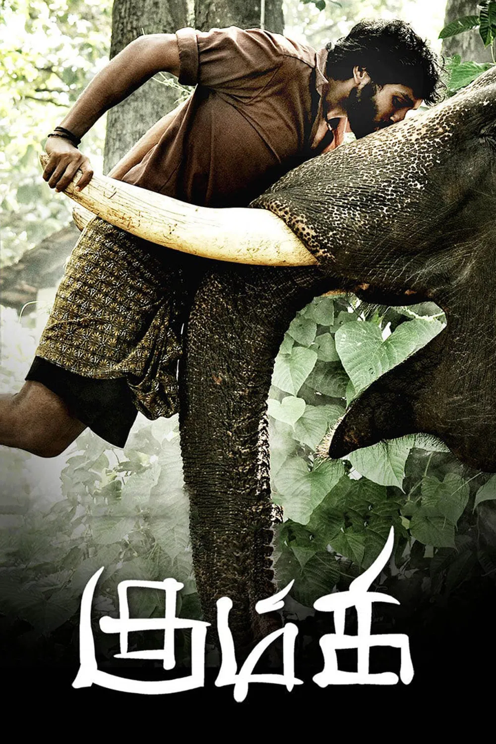 کومکی (Kumki)
