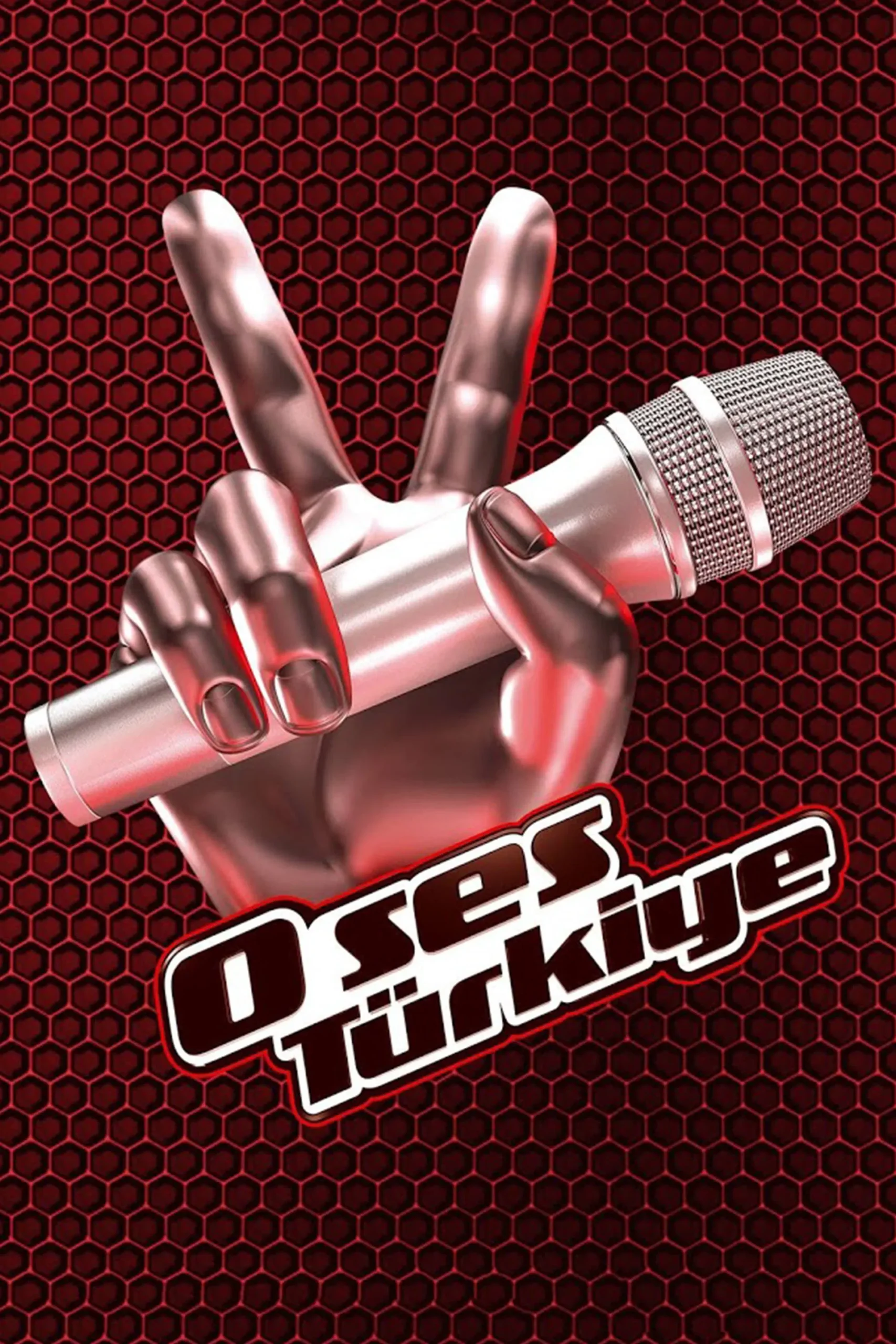 او سس ترکیه (O Ses Türkiye)