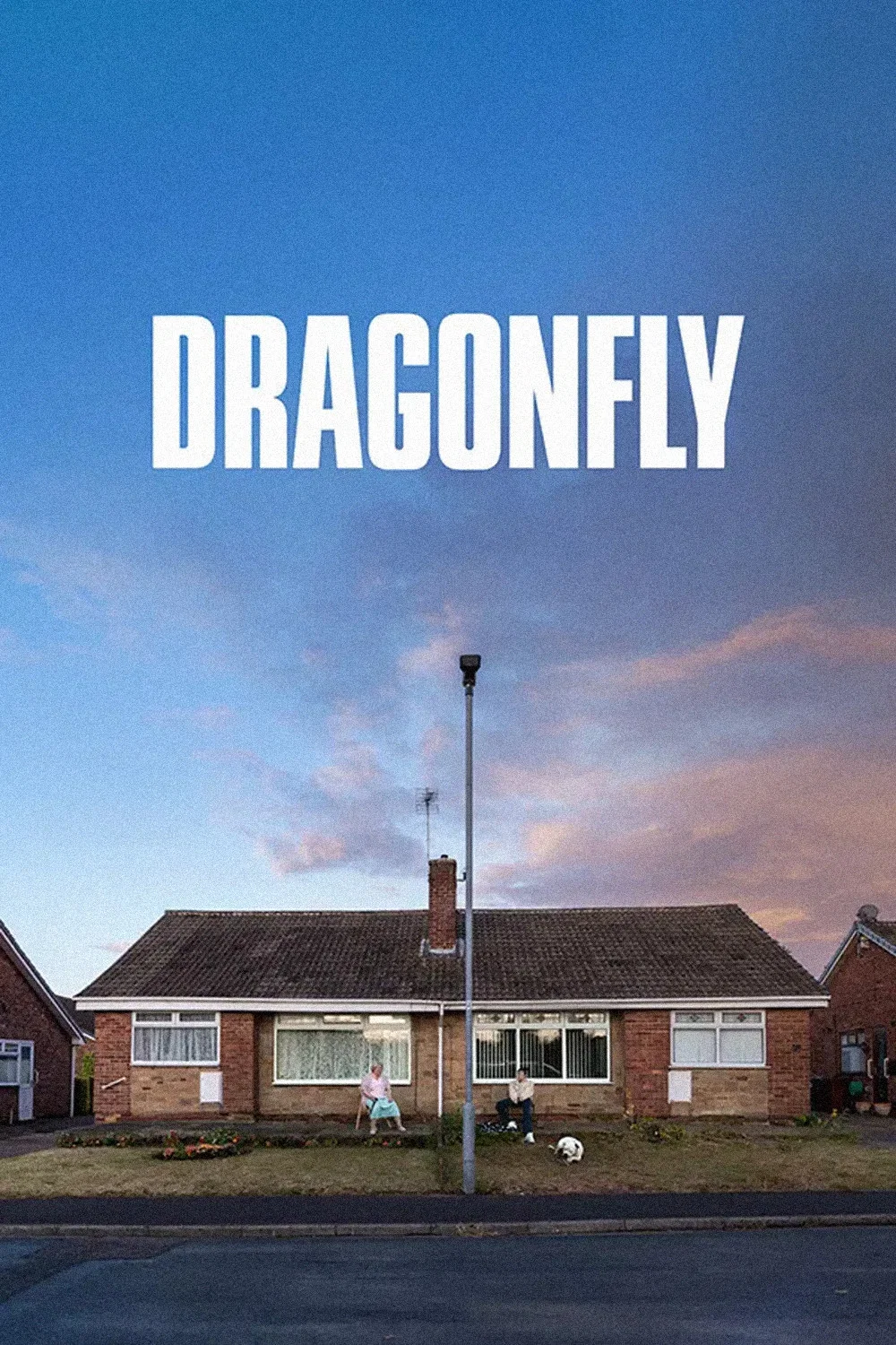 سنجاقک (Dragonfly)